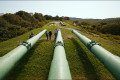 Russky Island + Voroshilov Battery (by car / bus) Russky Island + Voroshilov Battery (by car / bus)